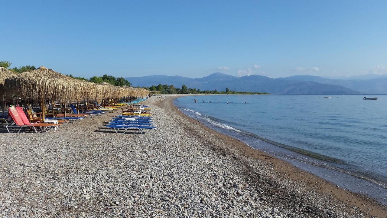 Rousetis Aigio